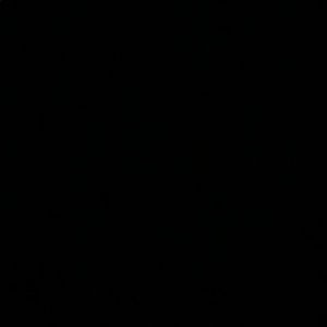 Meet your Posher, Noel